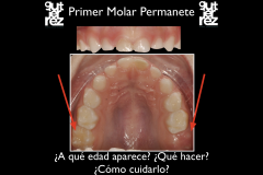 Captura-de-Pantalla-2020-03-11-a-las-13.22.19
